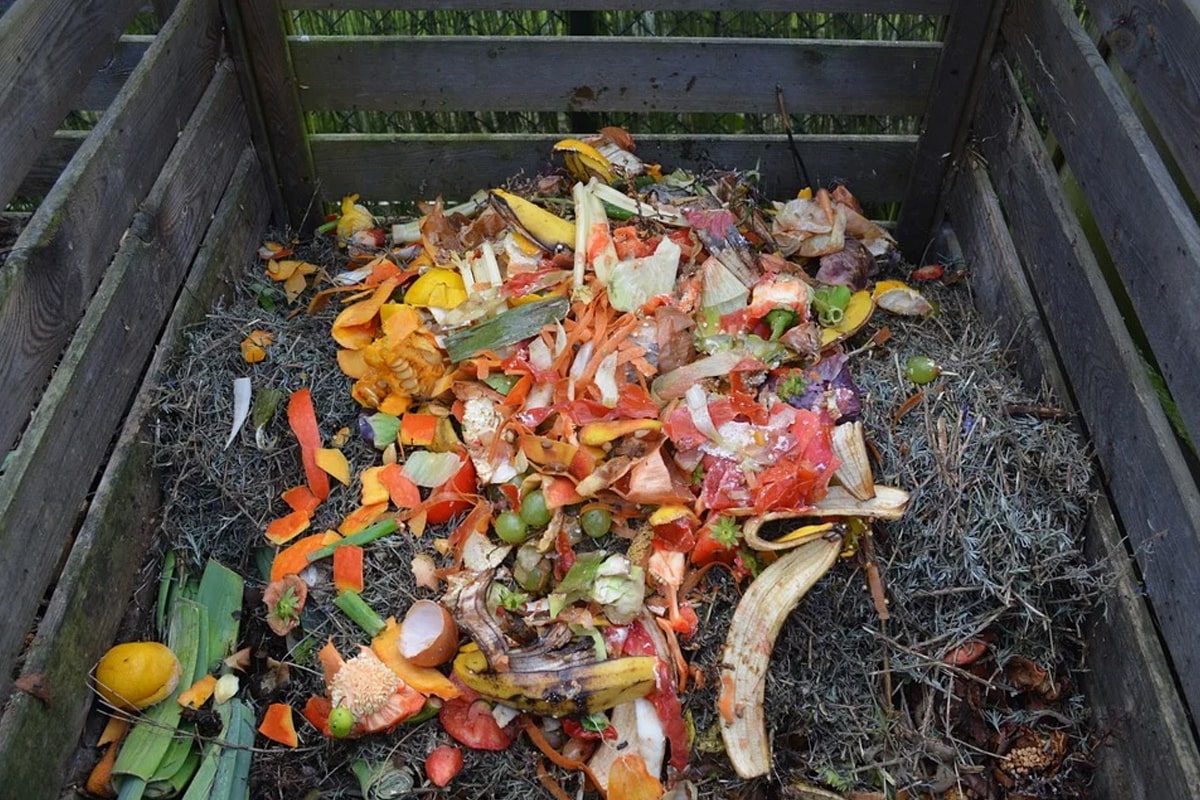 Compost fruits and leaves
