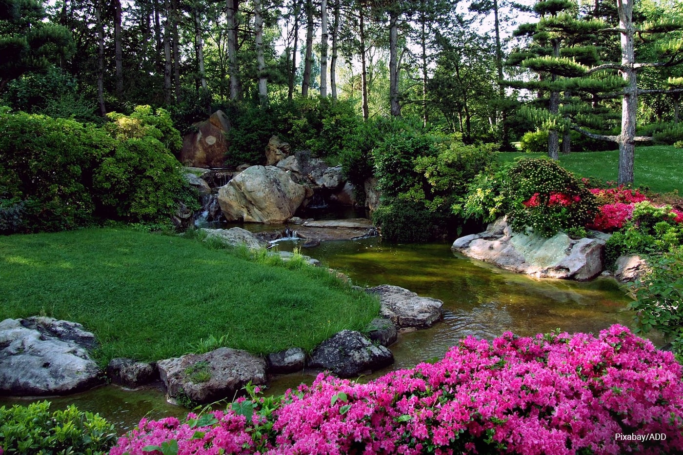 garden with water feature