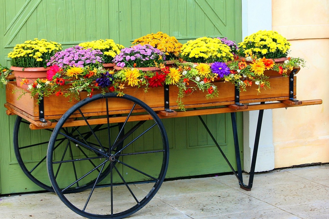 potted plants on raised beds with wheels
