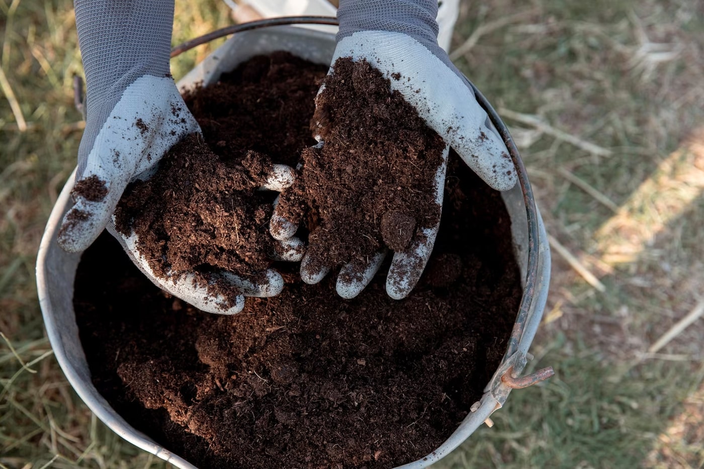 hands holid soil