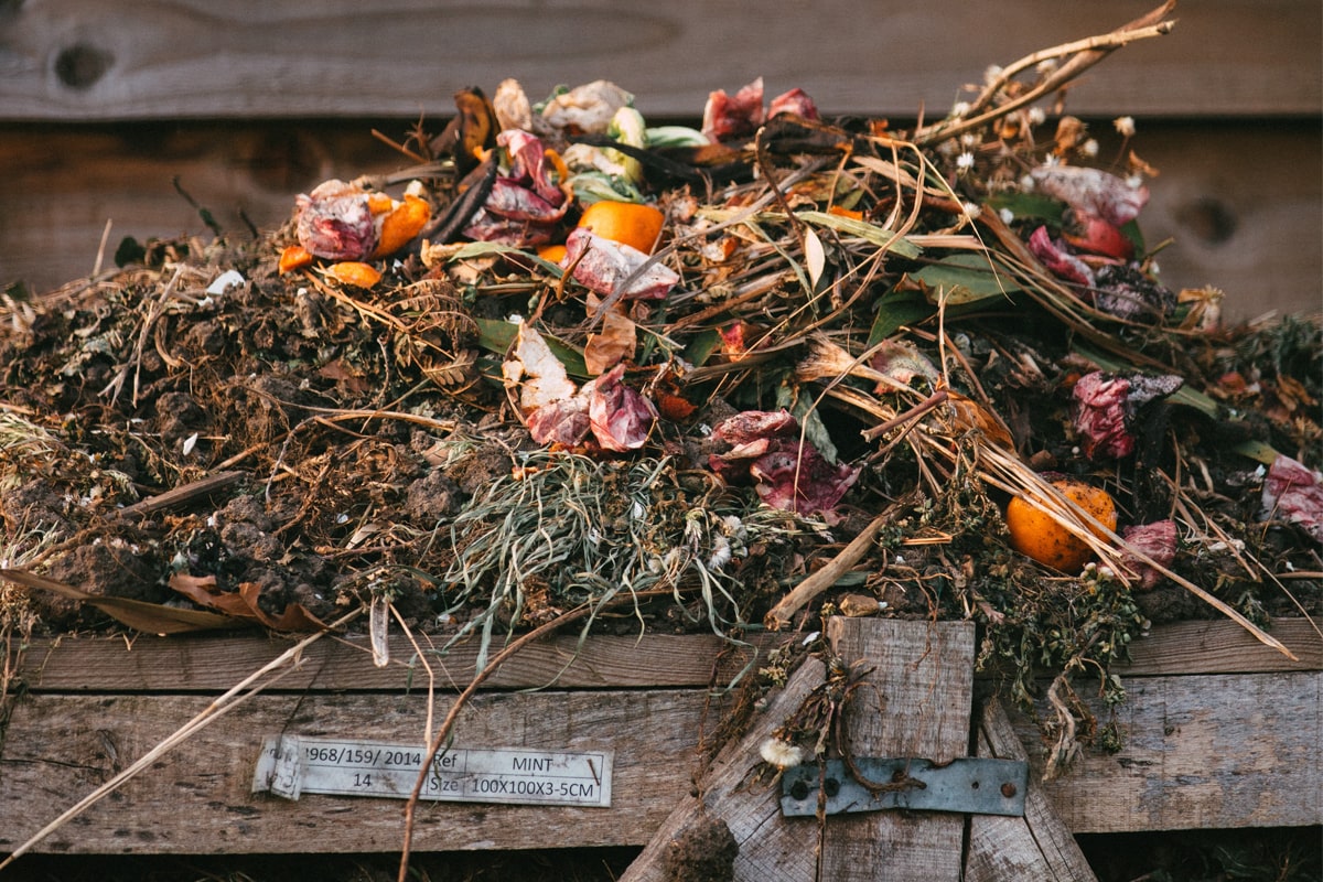 A compost bin in a garden.