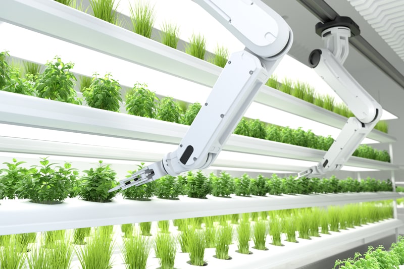A robot for gardening