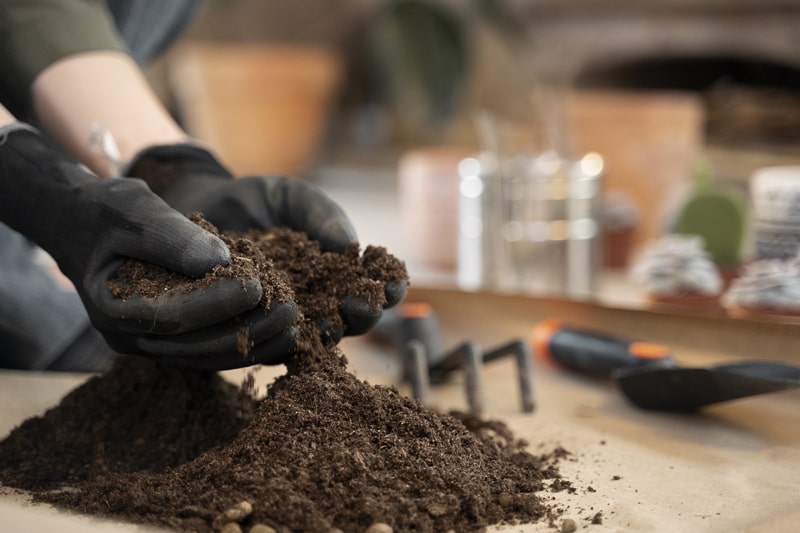 6 Soil Problems and How To Fix Them
