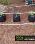 Ecogardener grow bags in action